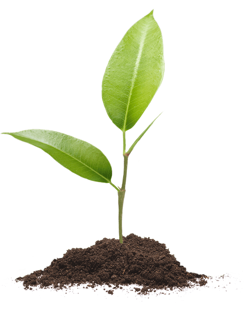 Learn more about Fiix's commitment to corporate social responsibility